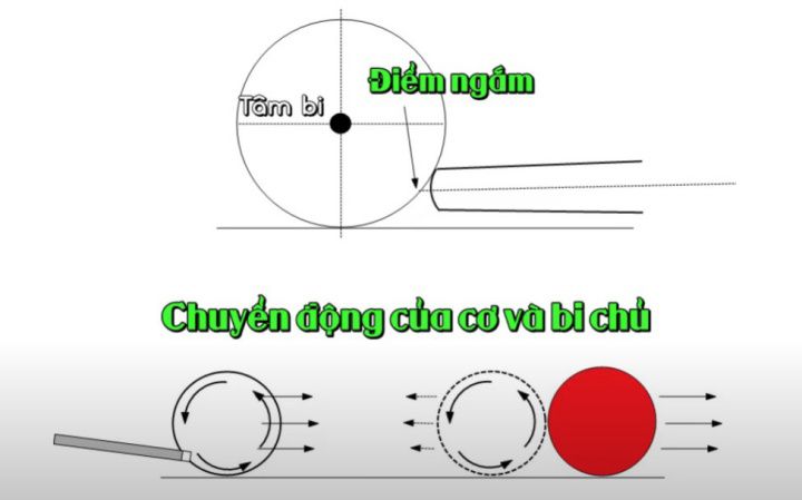 Các Vị trí điểm chạm trên bi cái