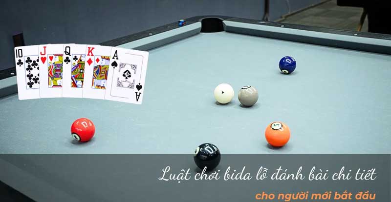 Luật Bida Bài