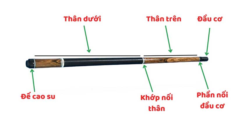 Cấu Tạo Của Cơ Bida