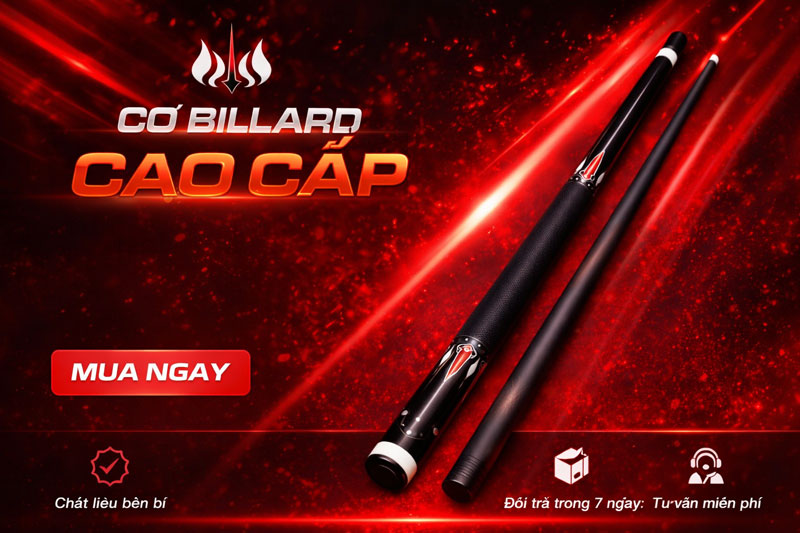 Cơ Bida Cũ Jf 10-10 Cũ