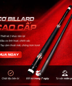 Cơ Bida Cũ Jf 10-10 Cũ Siêu Đẹp