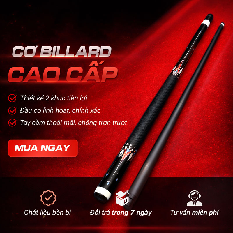 Cơ Bida Cũ Jf 10-10 Cũ Siêu Đẹp (2) Cơ Bida Cũ Jf 10-10 Cũ Siêu Đẹp