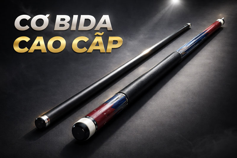 Ngọn Cyn Radial + Chuôi Fury VT3