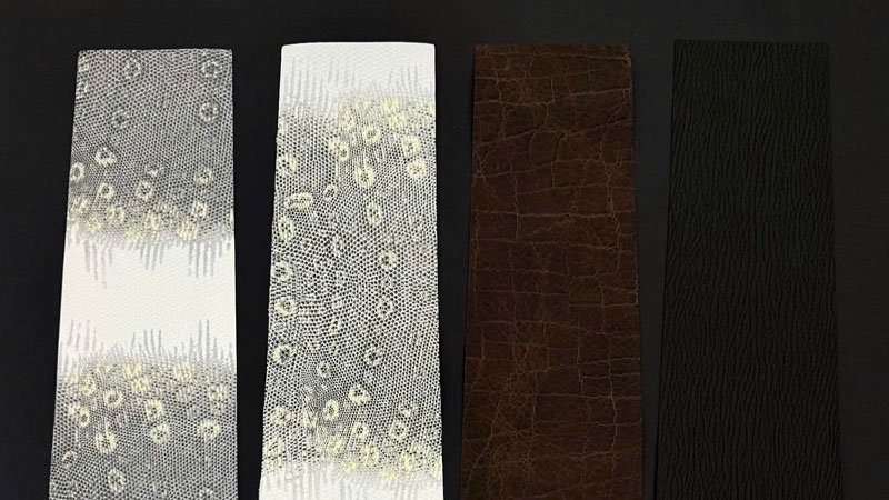 Spa Cơ Bida Tại TP Hồ Chí Minh