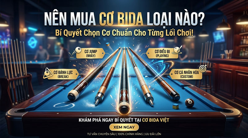Nên Mua Cơ Bida Loại Nào