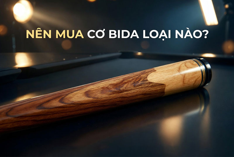 Nên Mua Cơ Bida Loại Nào