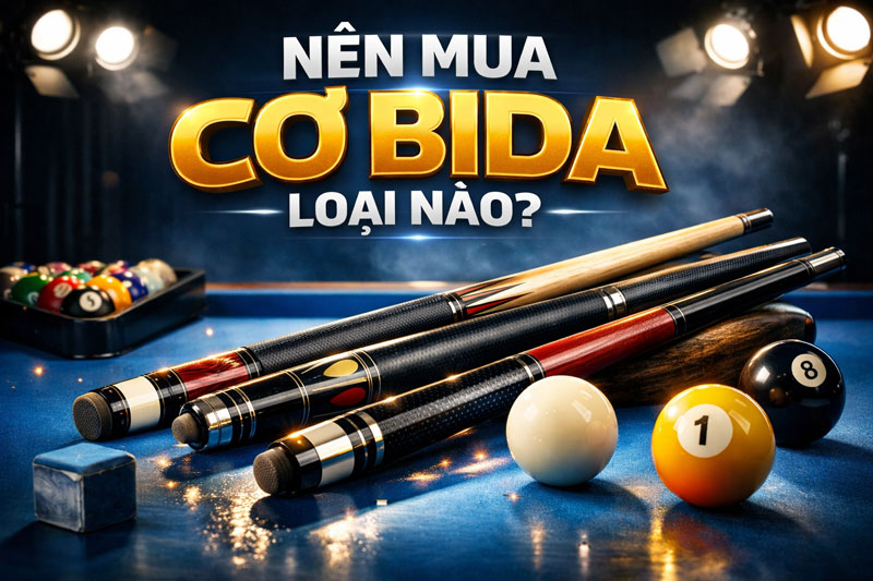 Nên Mua Cơ Bida Loại Nào