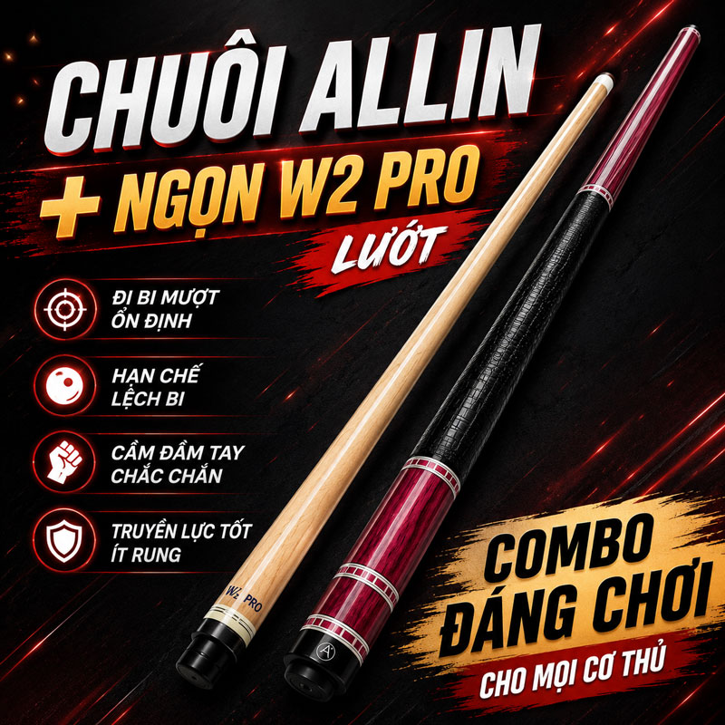 Chuôi Allin + Ngọn W2 Pro Lướt