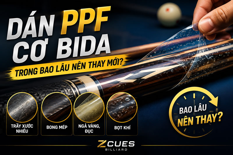 Dán PPF Trong Bao Lâu Nên Thay Mới