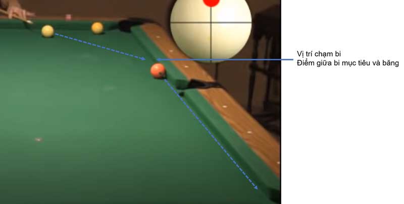 Bi Côn Băng Là Sao