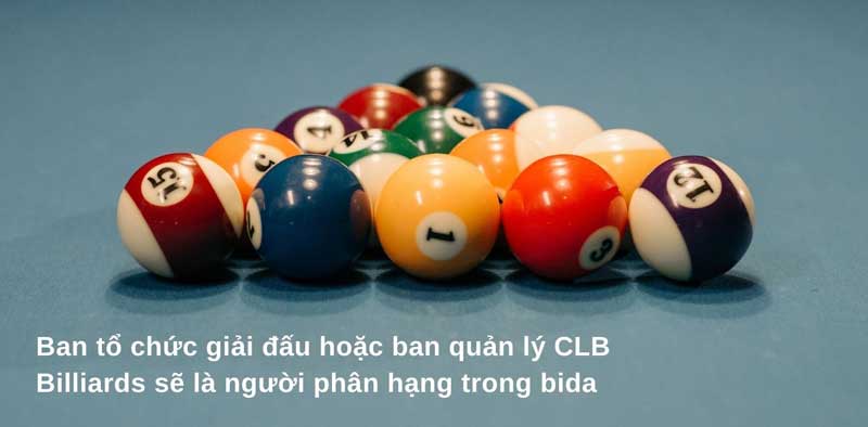 Cách Phân Biệt Hạng Trong Bida