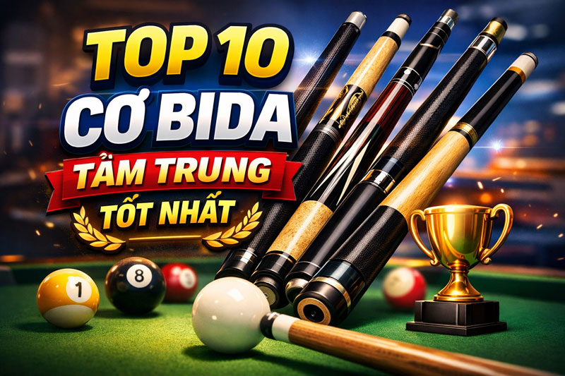 Top 10 Cơ Bida Tầm Trung Tốt Nhất