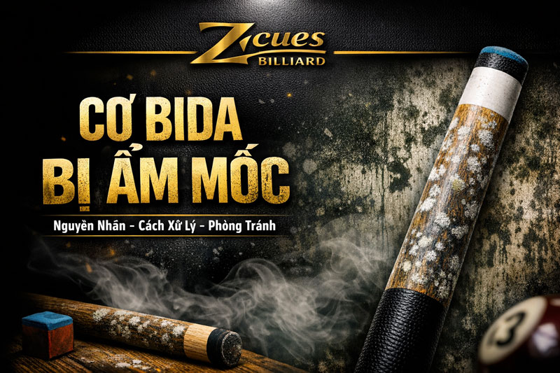 Cơ Bida Bị Ẩm Mốc