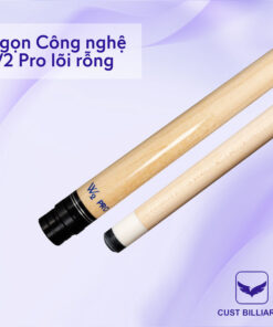 Chuôi Allin + Ngọn W2 Pro Lướt